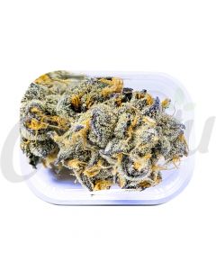 V Syndicate Girl Scout Cookie Bud Rolling Tray