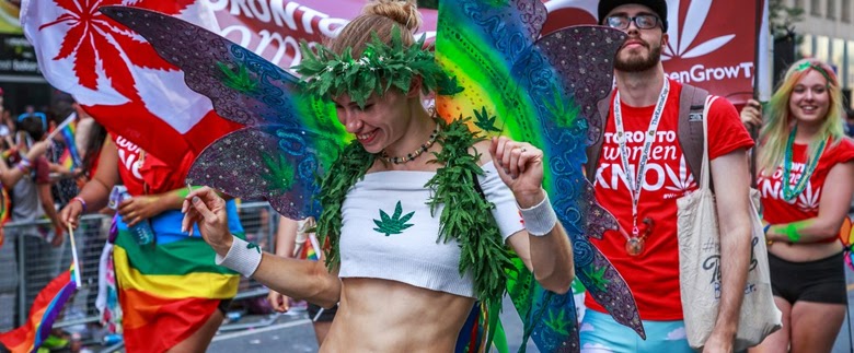 High Pride - Pot Industry & LGBTQ - What Brings Them Together?