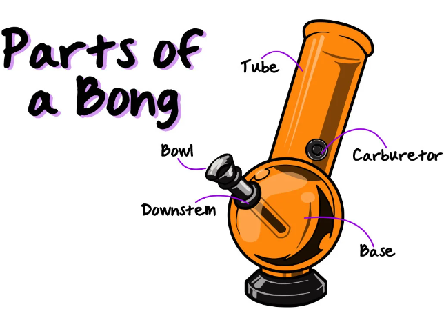 Decoding the Diversity of Bongs: An In-Depth Guide to Every Conceivable Type of Bong