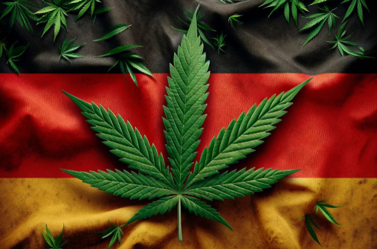 Germany Legalises Cannabis in 2024 - A Historic Milestone for Drug Policy Reform