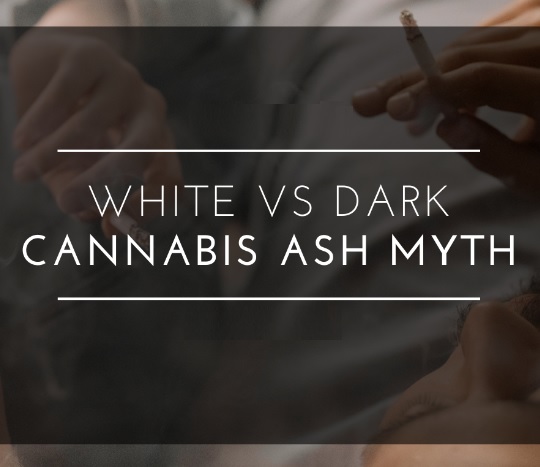 Debunking Cannabis Conceptions: The Truth Behind White Ash vs Black Ash Controversy