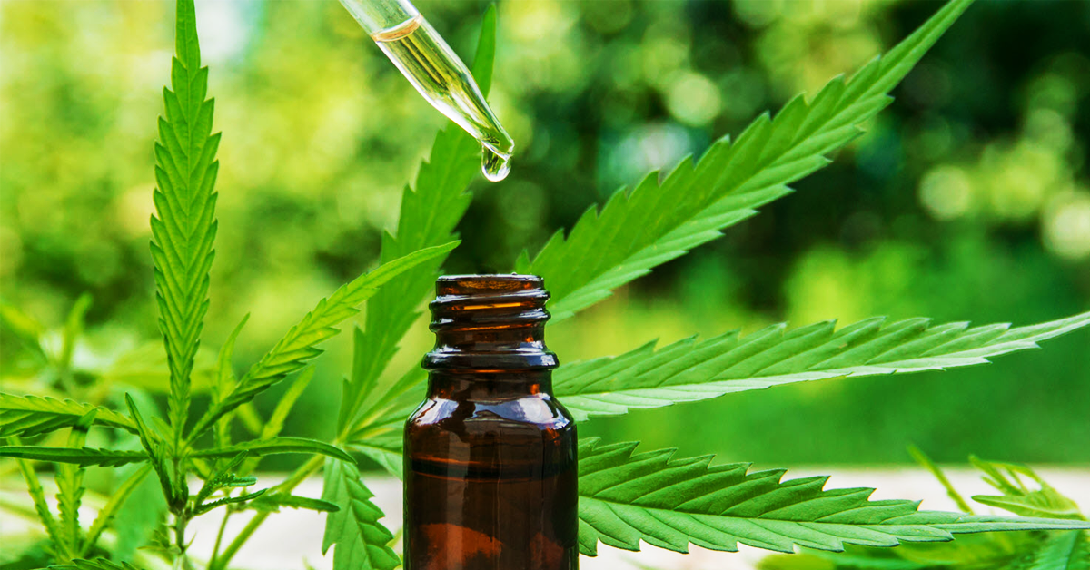 Cannabis Tincture- Everything You Need to Know About Them
