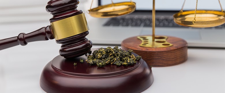 Cannabis in the UK: Decoding the Legal Status of the Herb