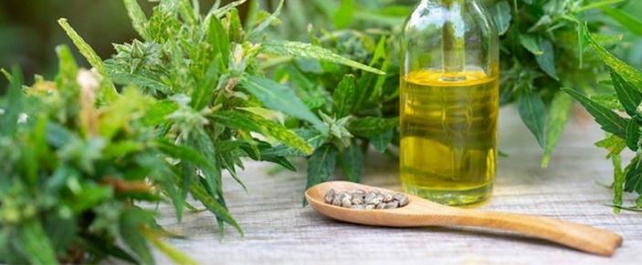 CBD Hemp Oil: All You Need to Know About