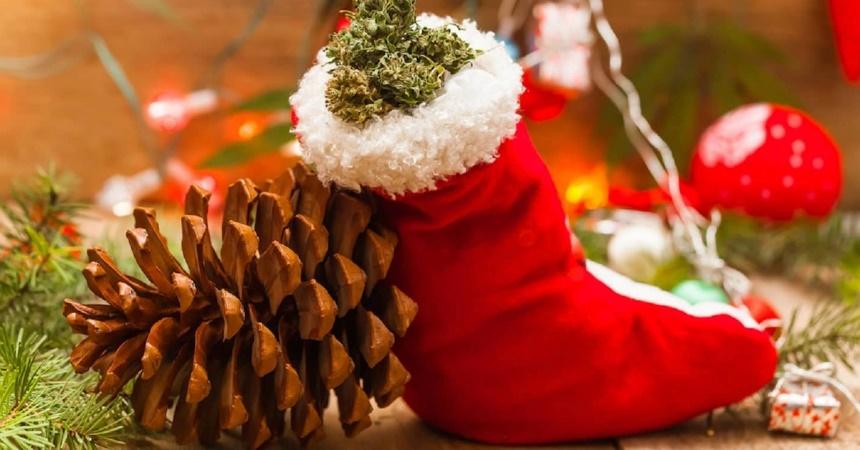 Holiday Gift Guide: Best Weed Gifts for Stoners in 2021