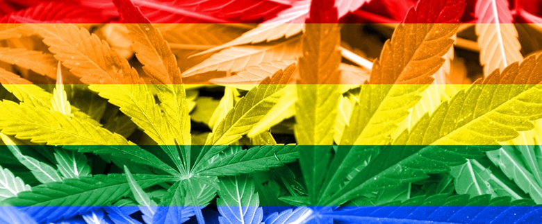 Cannabis & LGBTQ Community: Reflecting on the Pot Pride