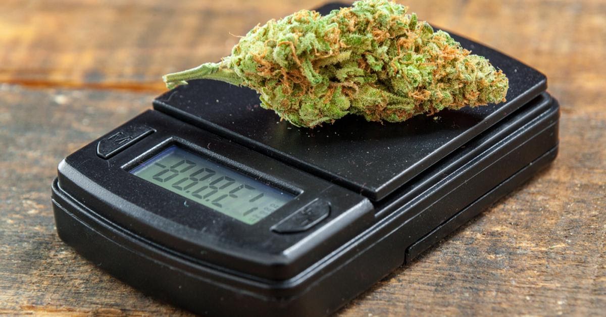 Weed Measurement Guide - How many Grams in an ounce?