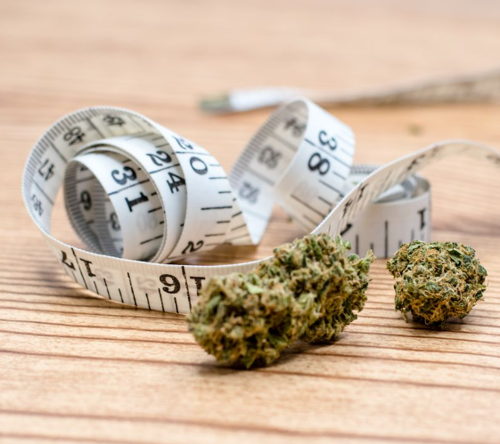 Unravel the Role of Cannabis in Your Weight Loss Journey: Myth or Reality?)