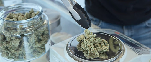 Weed Measurement Guide: How Many Ounces in a Pound?