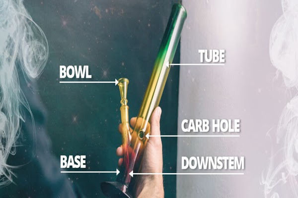 Anatomy of bong