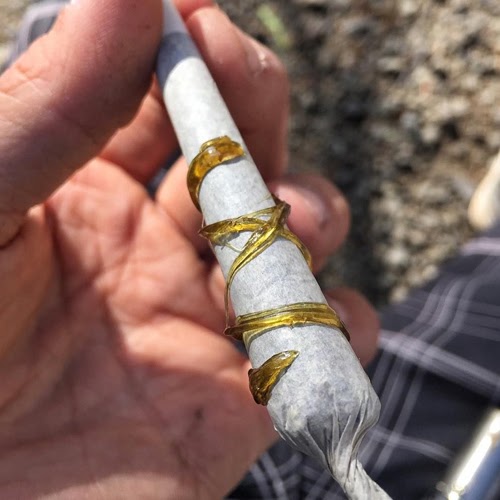 Joint wrapped in Concentrate