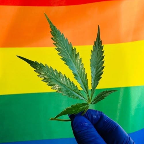 Marijuana-and-LGTBQ