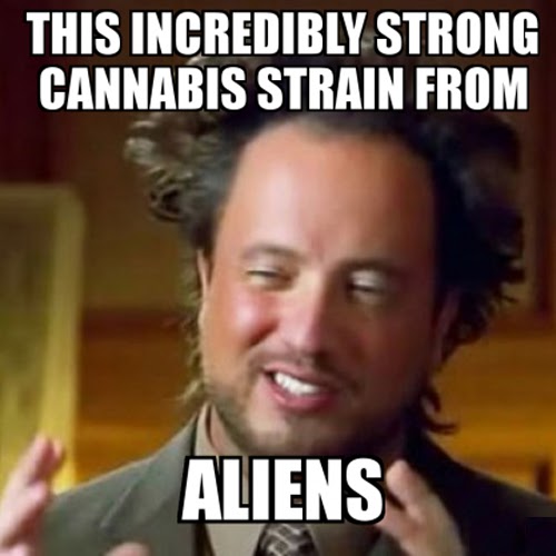 cannabis-Meme