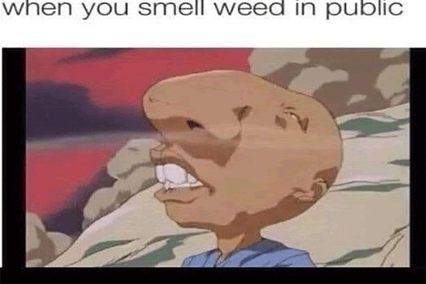 smell-weed