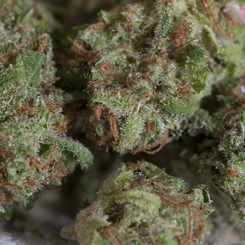 Strawberry Cough Strains