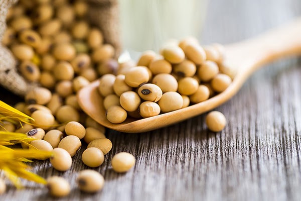 What is Lecithin