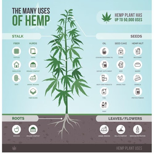 What is hemp used for