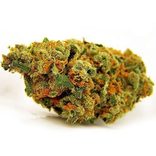 flavour of the Jack Herer Strain