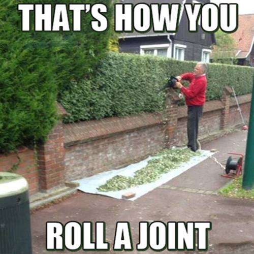 how-to-roll-a-joint-meme