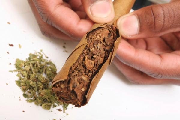 How to roll a blunt wrap step by step