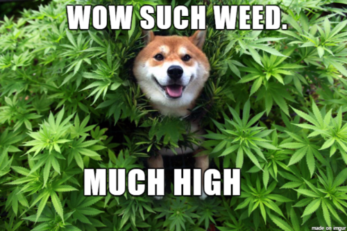 weed
