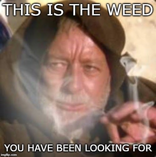 this-is-weed